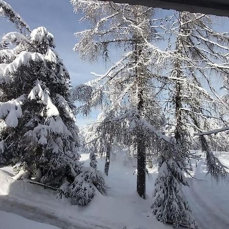 Appartamento Trento, Monte Bondone, Casa Tipica Di Montagna Norge Esterno foto