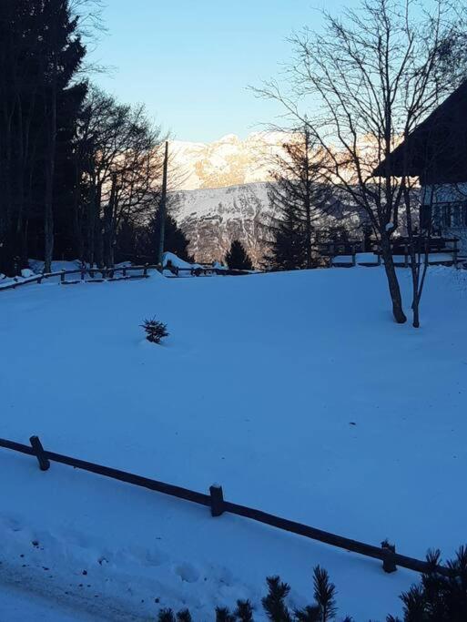 Appartamento Trento, Monte Bondone, Casa Tipica Di Montagna Norge Esterno foto